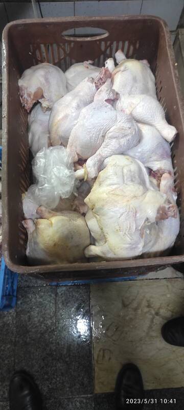 روایتی از زیر پوست بازار این روزهای مرغ