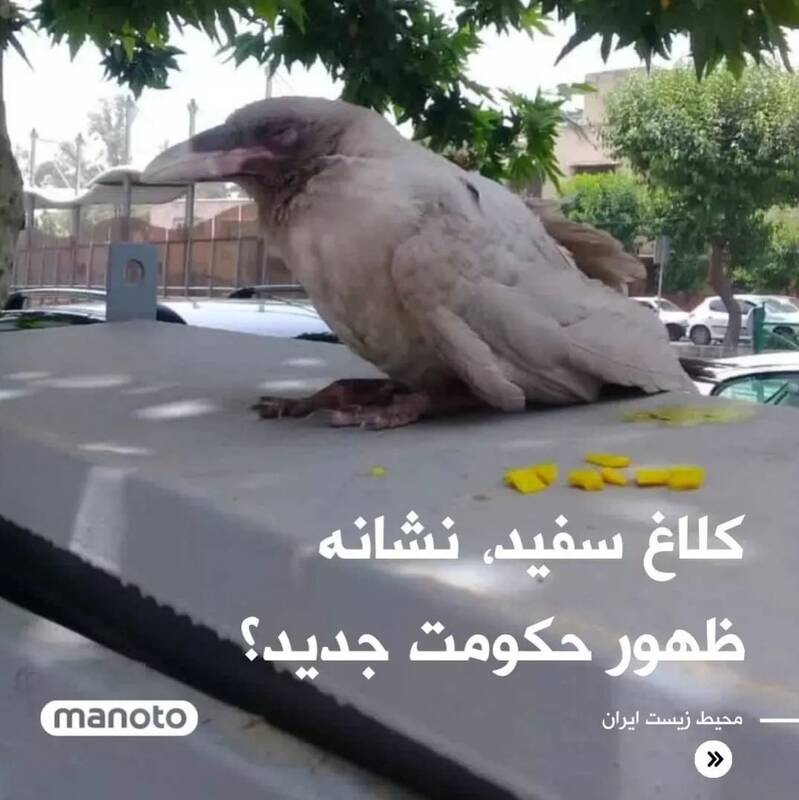 پایان جمهوری اسلامی در نگاه ضد انقلاب+ عکس