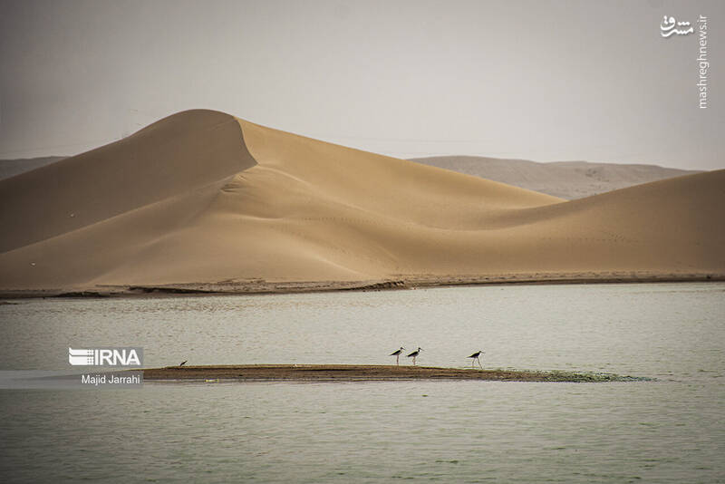 عکس/ دریاچه کویر