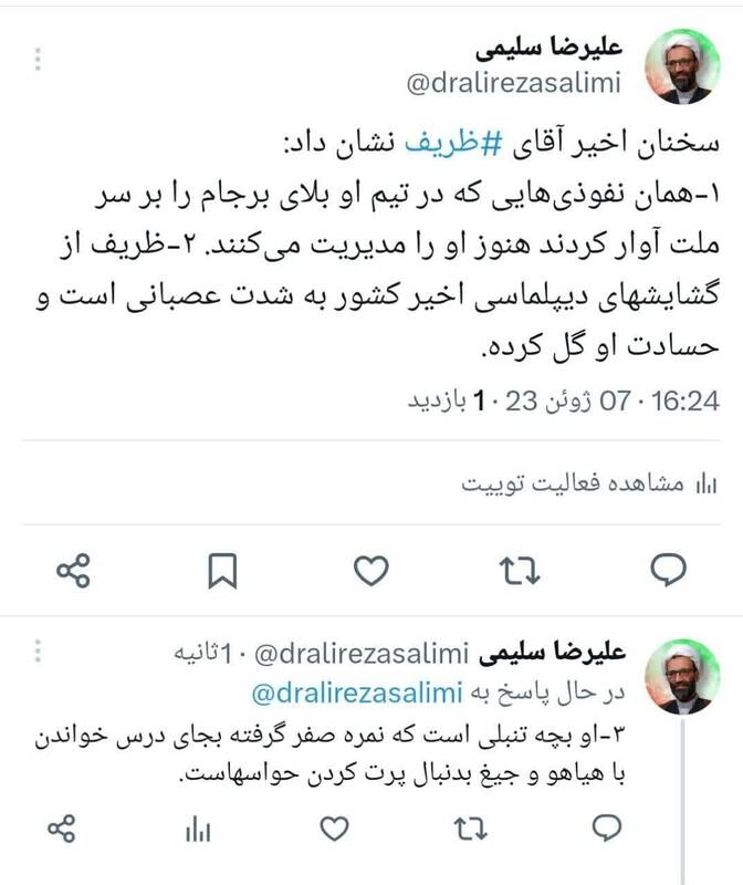 نماینده مجلس: ظریف از گشایشهای دیپلماسی اخیر عصبانی است