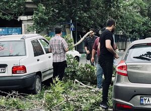 عکس/بلایی که طوفان سر خیابان‌های تهران آورد