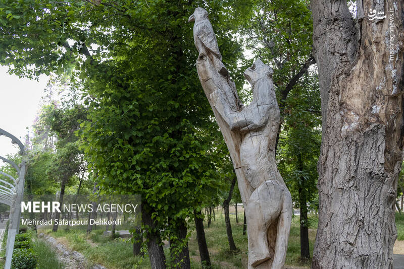 عکس/ پارک سرچشمه در کجا واقع شده است؟