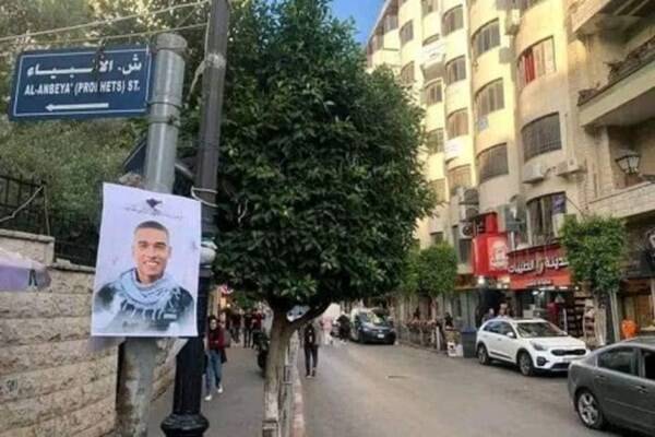 صحرای سردِ عادیسازی