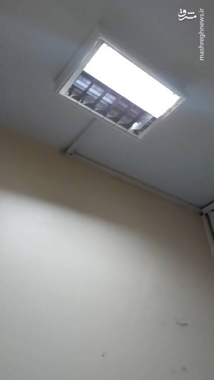 آقای مقیمی! در گروه بیوتکنولوژی دانشگاه تهران چه میگذرد؟ +تصاویر