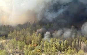 آتش سوزی مرگبار در جنگل‌های قزاقستان