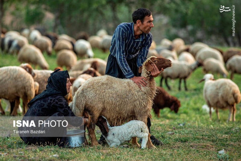 عکس / مردمانی سختکوش با زندگی ساده و بیآلایش 21