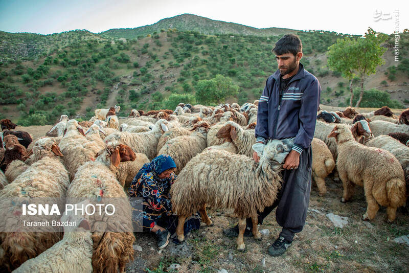 عکس / مردمانی سختکوش با زندگی ساده و بیآلایش 17
