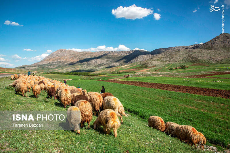 عکس / مردمانی سختکوش با زندگی ساده و بیآلایش 24