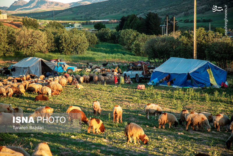 عکس / مردمانی سختکوش با زندگی ساده و بیآلایش 7