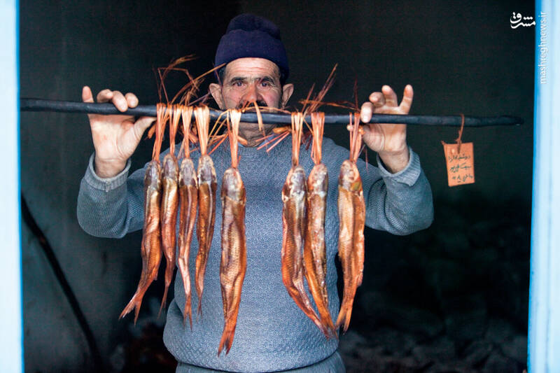 کار این افراد خفه کردن ماهی با دود است +عکس