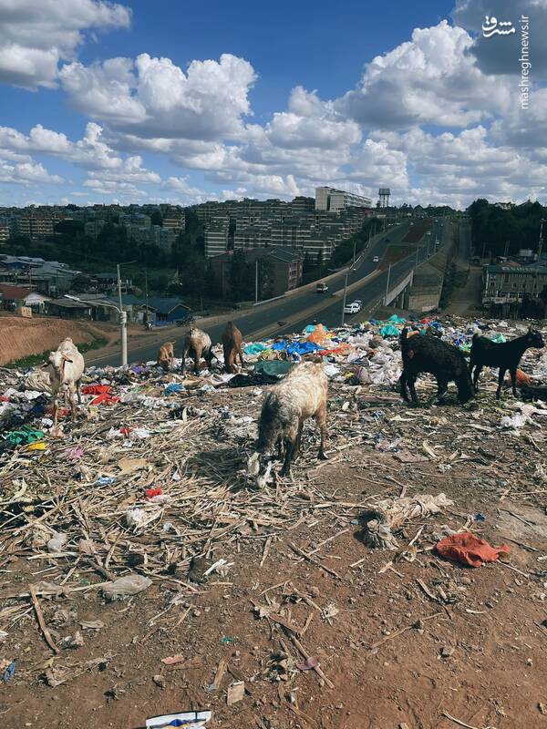 زاغهنشینهایی که رویایی برای رهایی ندارند+ عکس