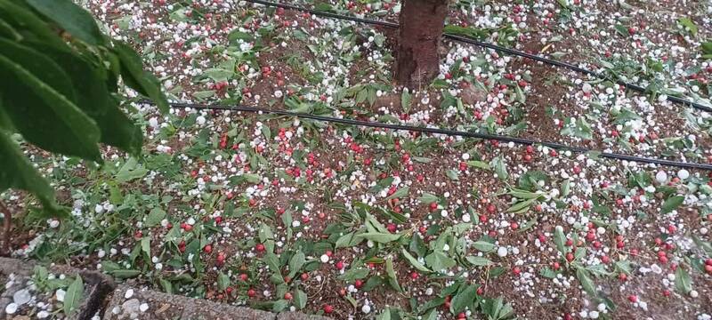 بارش تخممرغی تگرگ در کلیبر و شکستن شیشه خودروها +عکس و فیلم