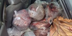 کشف و ضبط ۲۰۰ کیلوگرم گوشت خوک در میاندورود