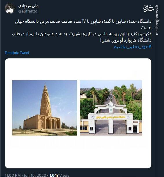 چرا یه عده از درختای دانشگاه هاروارد آویزون شدن!