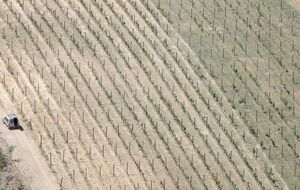 عکس/منظره خشک اسپانیا در تابستان