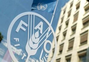 ایران بزرگترین صادرکننده لبنیات در آسیا شد