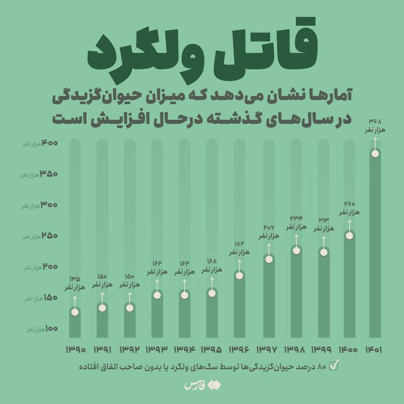 بحران سگ ولگرد در ایران؛ معادل وام ۱۵ هزار زوج خرج سگ می‌شود!