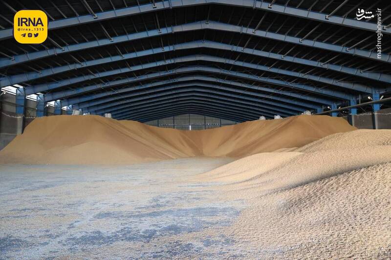 عکس/ بازدید وزیر اقتصاد از انبار گمرک بندر امام خمینی(ره)