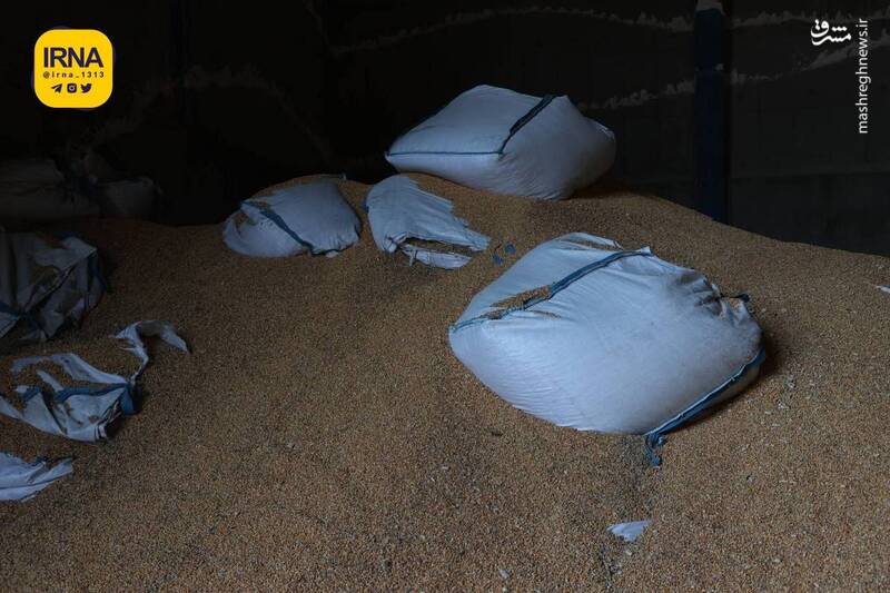 عکس/ بازدید وزیر اقتصاد از انبار گمرک بندر امام خمینی(ره)