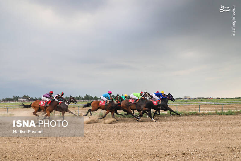 عکس/ کورس سوارکاری در بندرترکمن