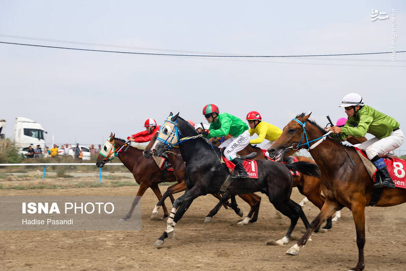 عکس/ کورس سوارکاری در بندرترکمن