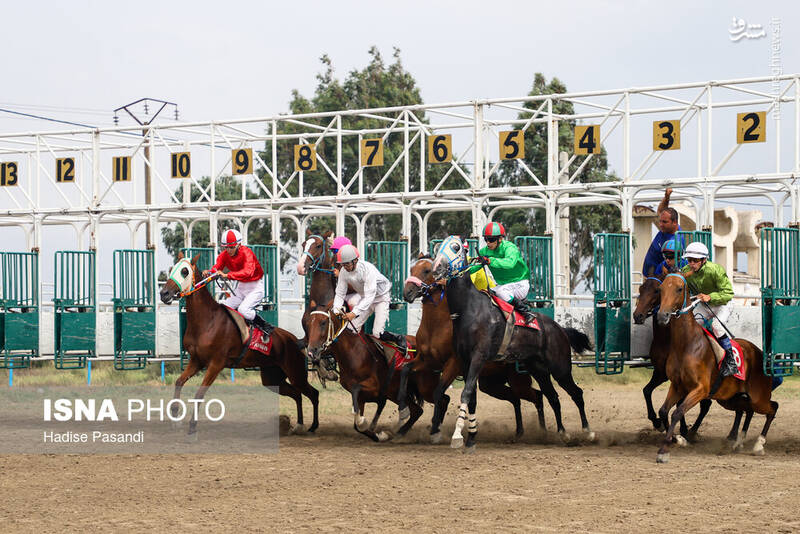 عکس/ کورس سوارکاری در بندرترکمن