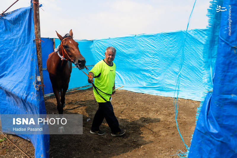 عکس/ کورس سوارکاری در بندرترکمن