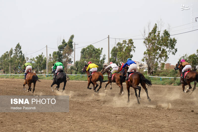 عکس/ کورس سوارکاری در بندرترکمن