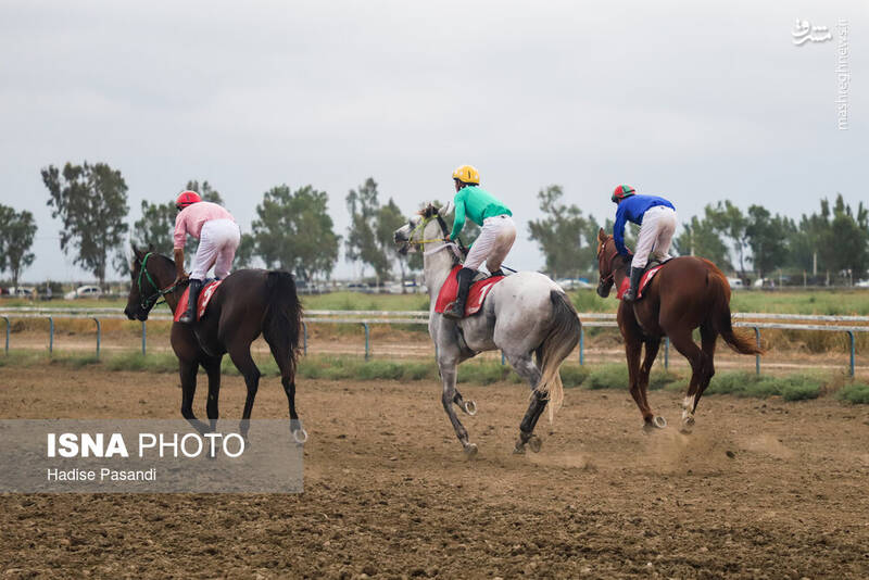 عکس/ کورس سوارکاری در بندرترکمن