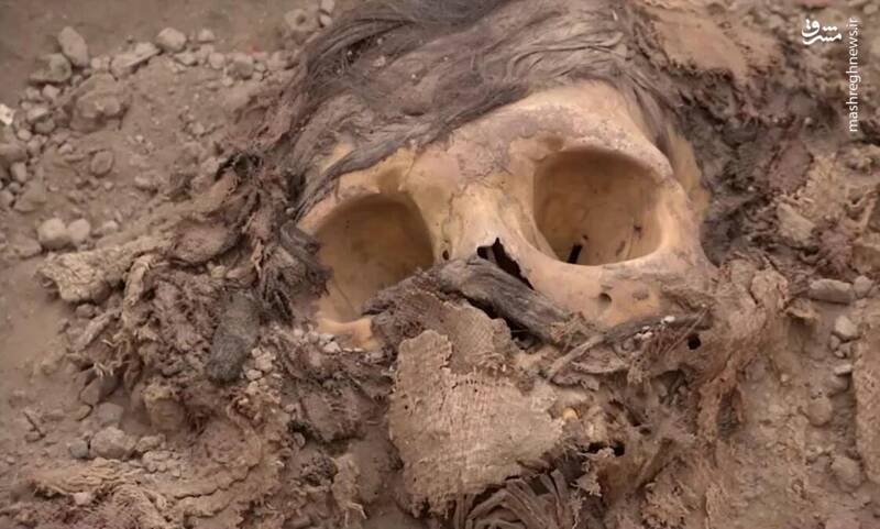 فیلم/ کشف یک مومیایی ۳ هزار ساله در پرو