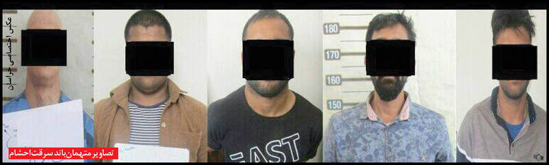 ورزشکار مدال آور در باند دزدان احشام