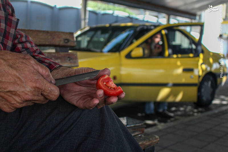 عکس/ حال و روز تهرانیها در گرمای زود هنگام پایتخت