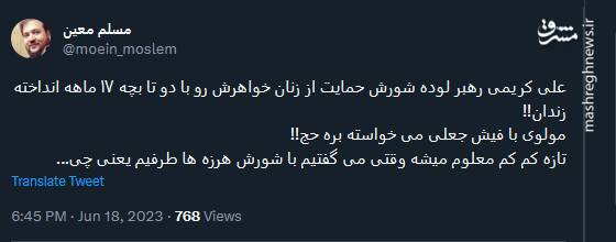 وقتی می گفتیم با شورش هرزه ها طرفیم یعنی چی