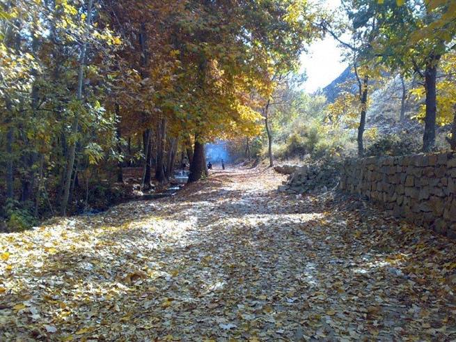 محبوبترین مناطق مشهد برای اجاره ویلاهای آخر هفتهای