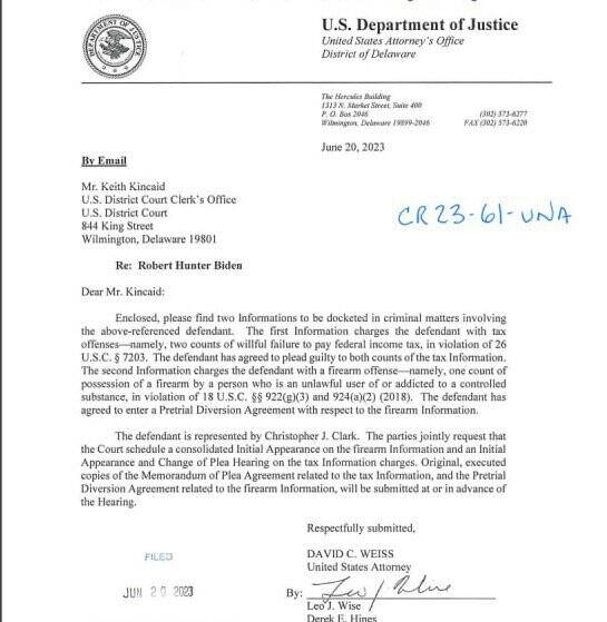 «هانتر بایدن» به ۲ اتهام خود اعتراف میکند+ تصویر