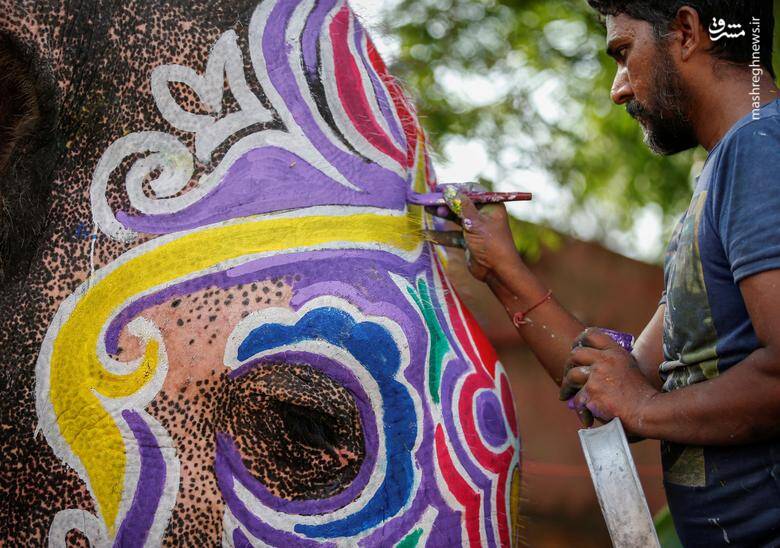نقاشی کردن بر روی سر فیل در حاشیه راهپیمایی سالانه در احمدآباد _ هند