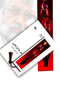 حداد عادل سفیر معنوی هند در ایران است / رویکرد سیاسی حداد هم بر مبنای ارزشهای فرهنگی است