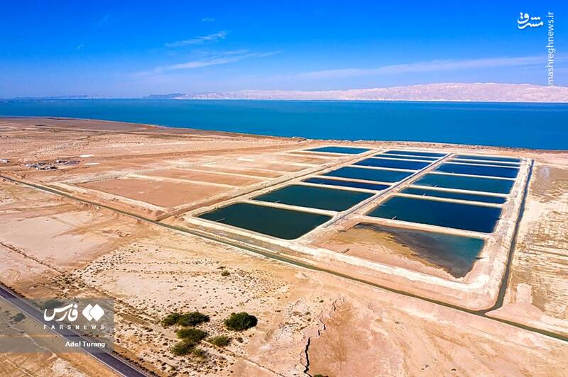 تصاویر کمتر دیده شده از قشم زیبا