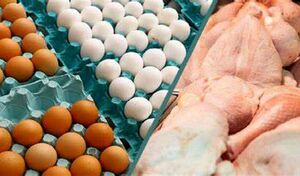 قیمت کالاهای اساسی در بازار + جدول