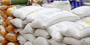 فارس من| واردات برنج امسال کاهش یافت