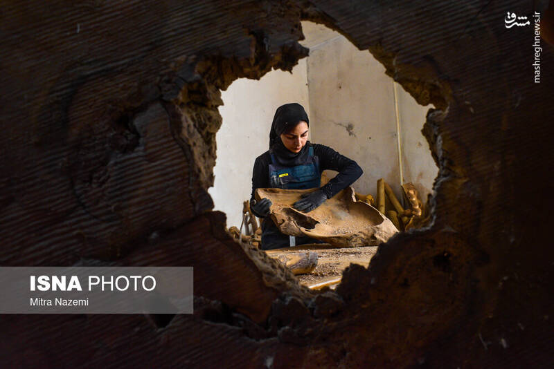 هنرنمایی دختر جوان با کندههای پیر +عکس