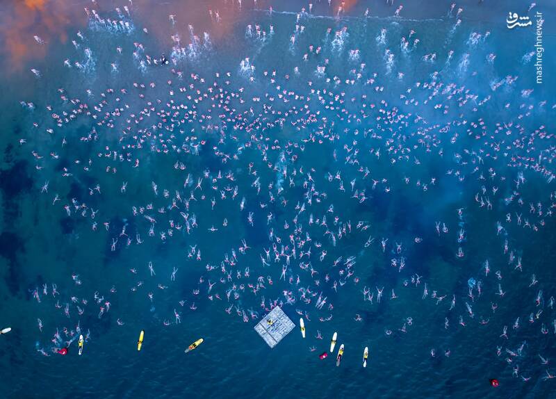 تصویر هوایی از مسابقات شنا در هابارت _  استرالیا
