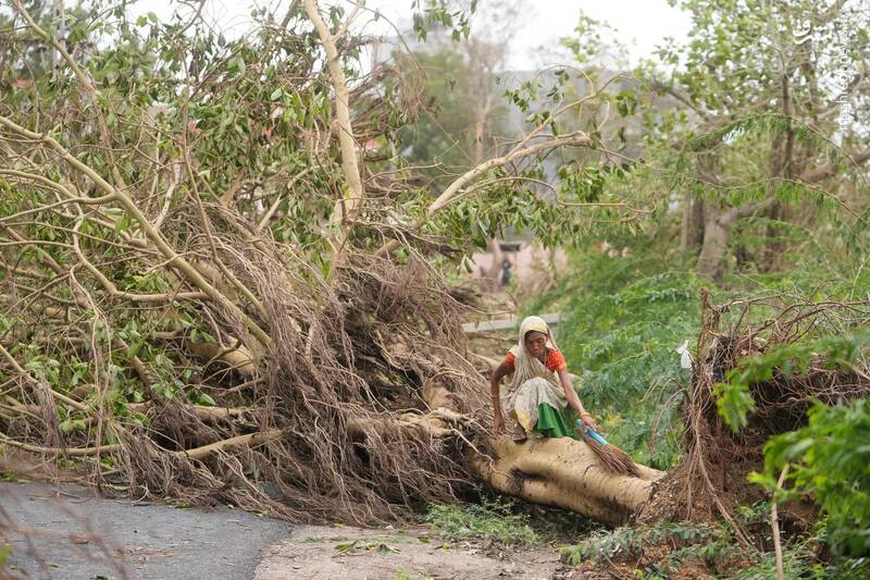عبور یک زن از روی درختی که بر اثر طوفان قطع شده در کوچ _ هند