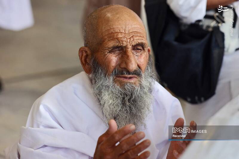 عکس/ موسم حج در سرزمین وحی