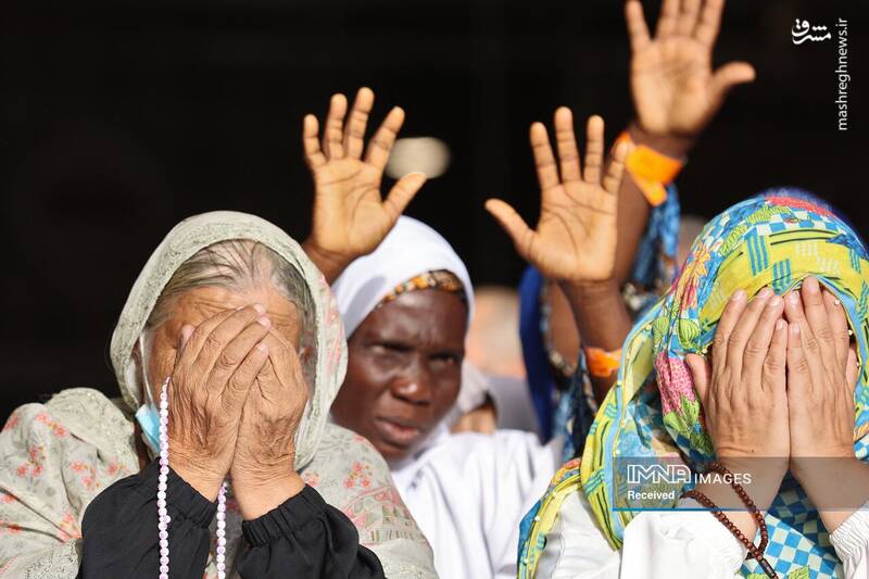 عکس/ موسم حج در سرزمین وحی