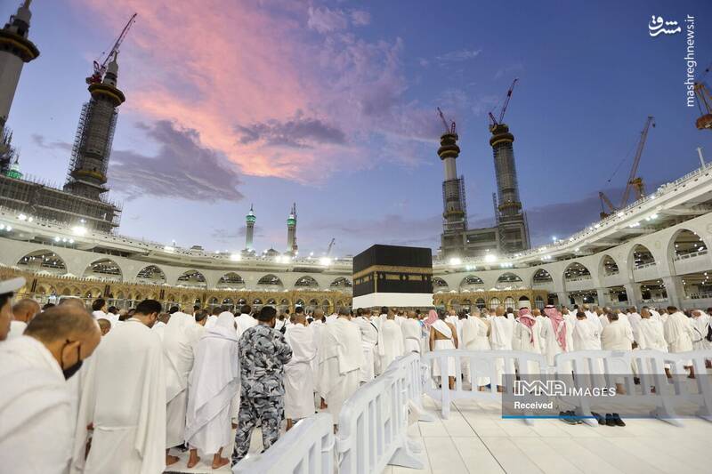 عکس/ موسم حج در سرزمین وحی