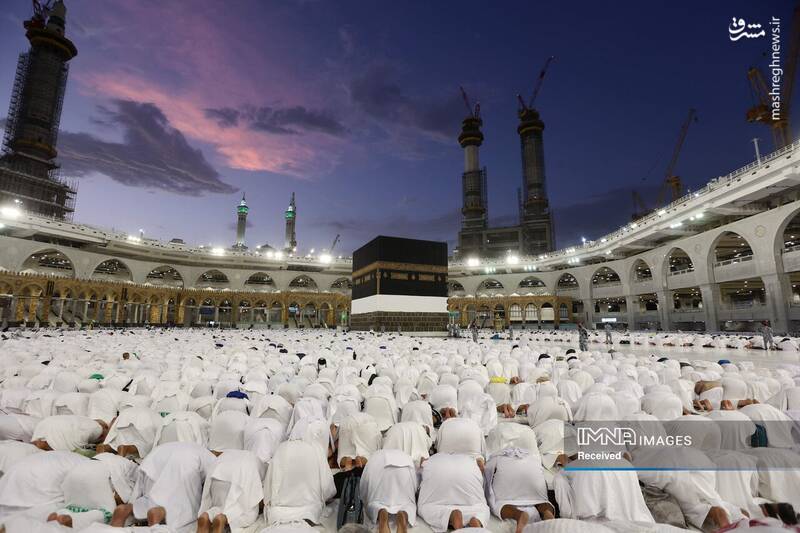 عکس/ موسم حج در سرزمین وحی