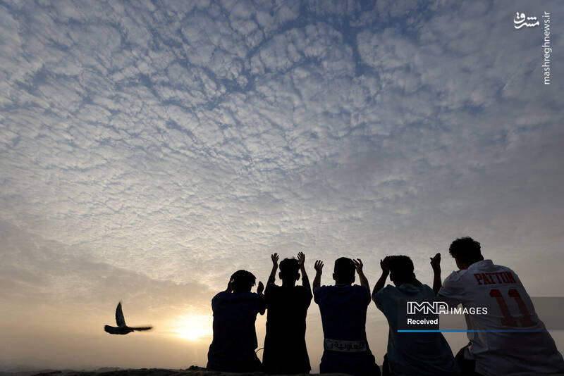 عکس/ موسم حج در سرزمین وحی