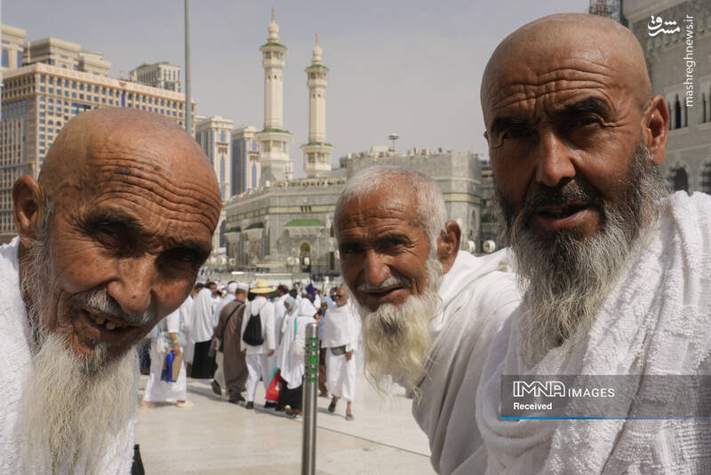 عکس/ موسم حج در سرزمین وحی