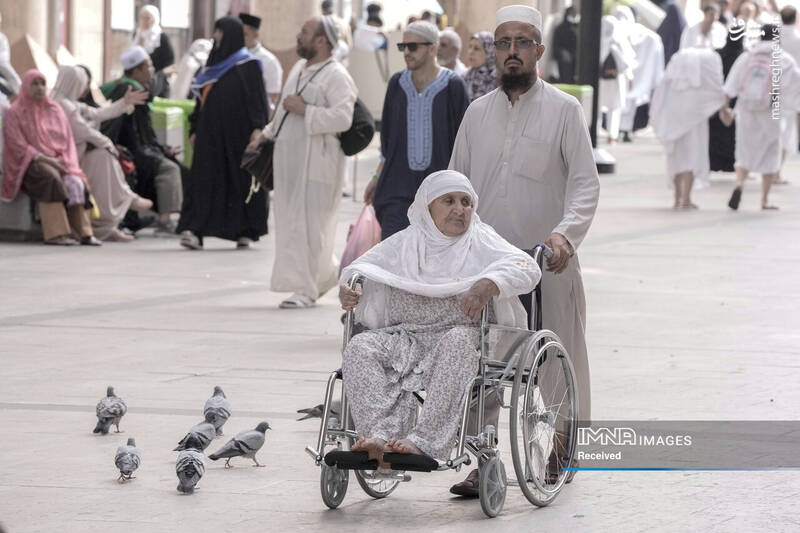 عکس/ موسم حج در سرزمین وحی